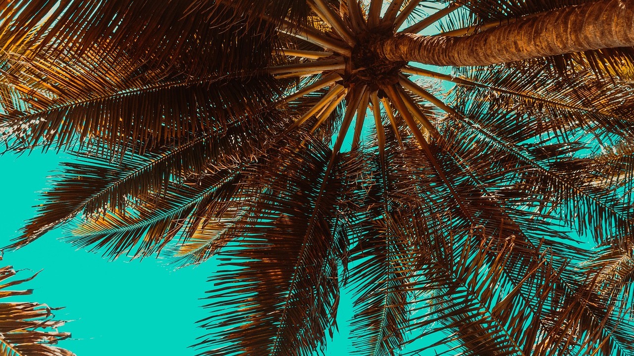 [pixabay.com]