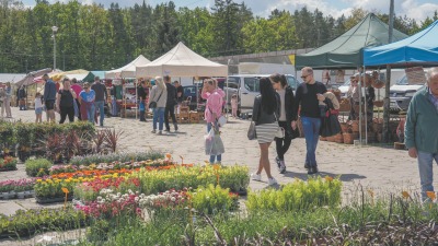 Nowy parking na targowisku miejskim