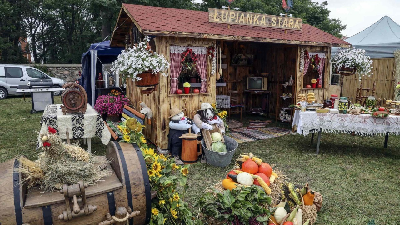 Dożynki 2025 [fot. mat. organizatora]