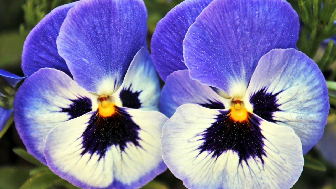 [pixabay.com]