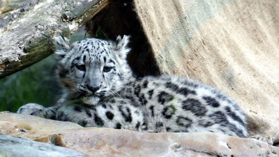 KALENDARIUM. 23 października - piątek z&nbsp;akcentem śnieżnym