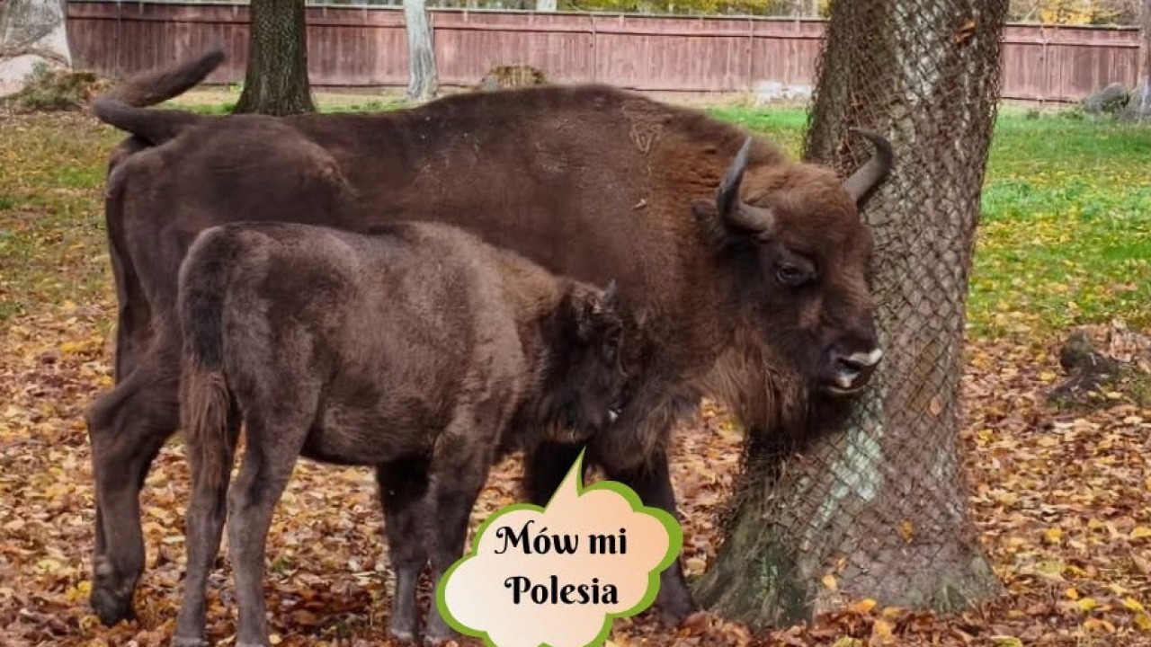 [fot. M. Karczewska]