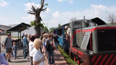 Wąskotorówka w&nbsp;Białowieży przeżywa oblężenie